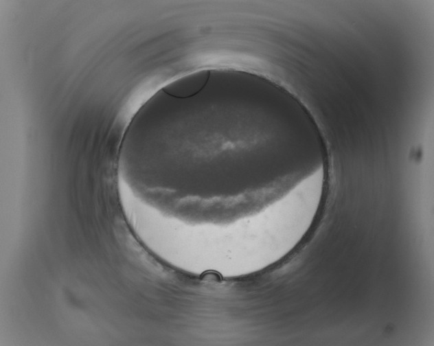 X0000114441529200911131504