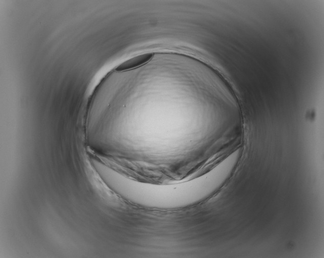 X0000114441530200911131504