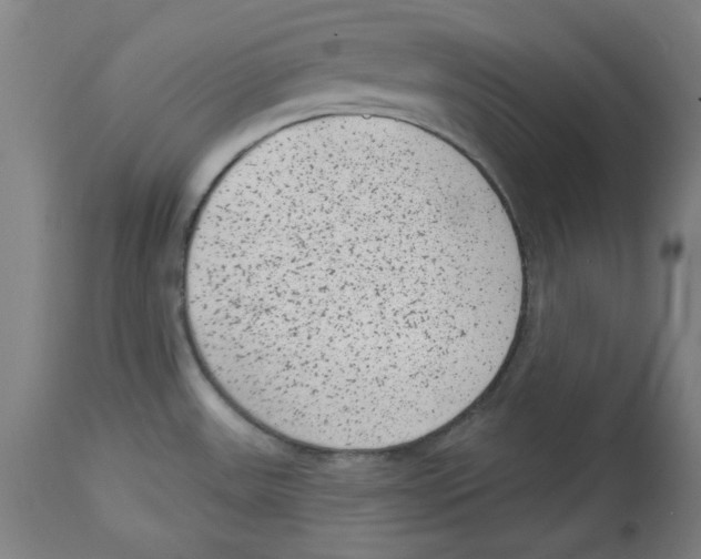 X0000114441531200911131504