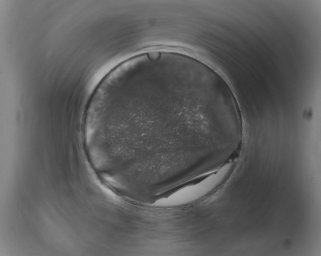 X0000114441533200911131504