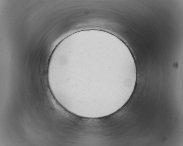 X0000114441534200911131504