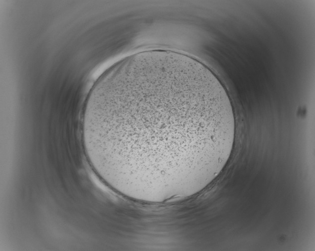 X0000114441535200911131504