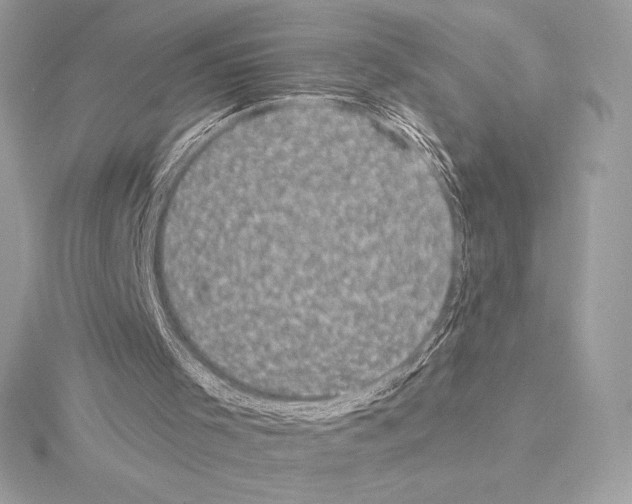 X0000114440001200911271647
