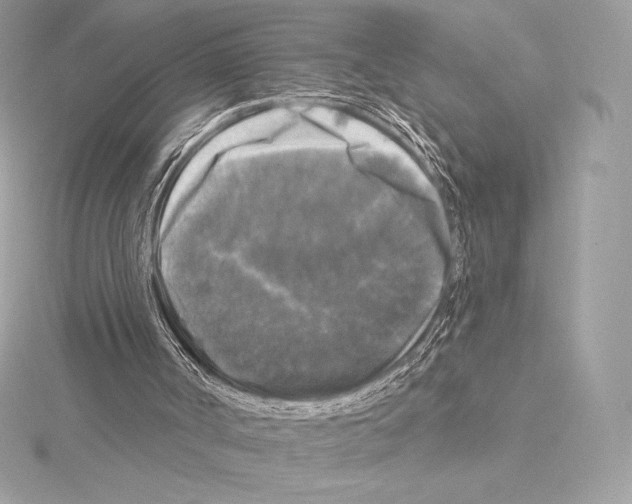 X0000114440002200911271647