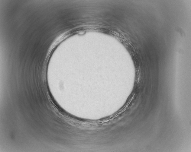 X0000114440004200911271647