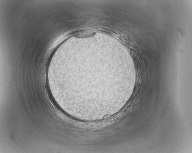 X0000114440005200911271647