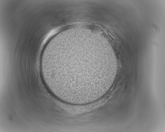 X0000114440006200911271647
