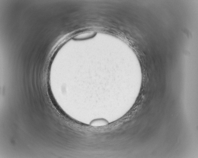 X0000114440007200911271647