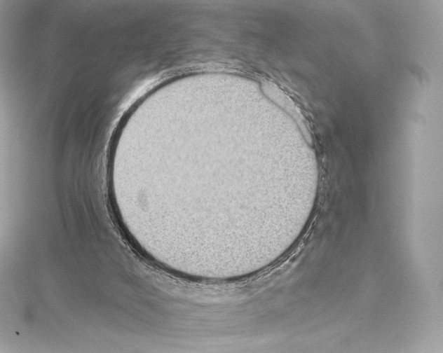 X0000114440008200911271647