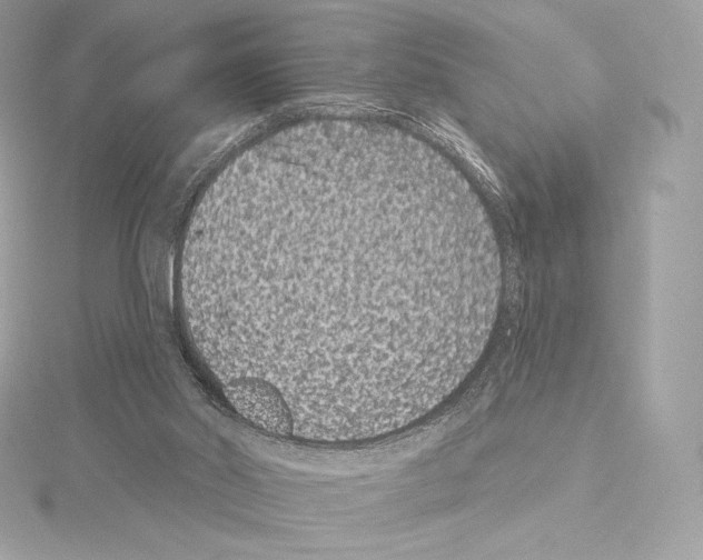 X0000114440014200911271647