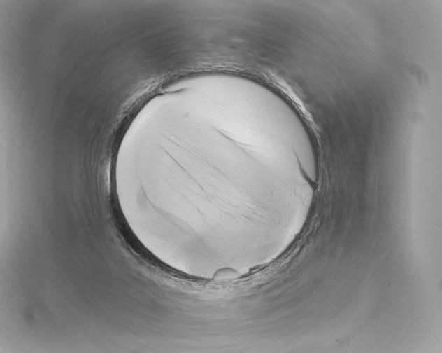 X0000114440019200911271647