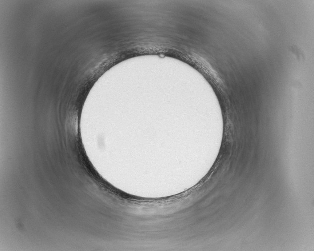 X0000114440021200911271647