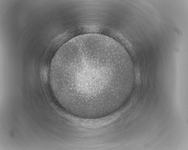 X0000114440026200911271647