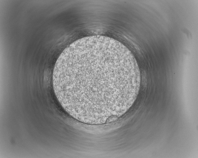 X0000114440030200911271647