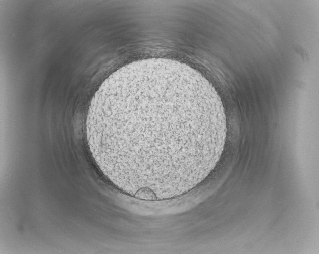 X0000114440034200911271647