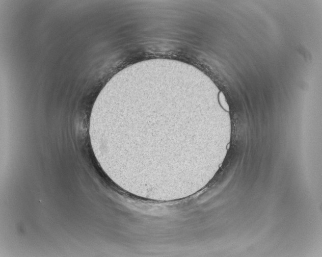 X0000114440040200911271647