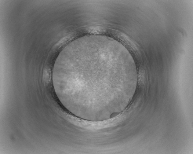 X0000114440043200911271647