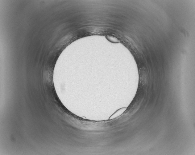 X0000114440044200911271647