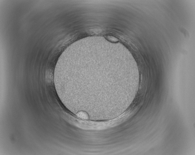 X0000114440048200911271647