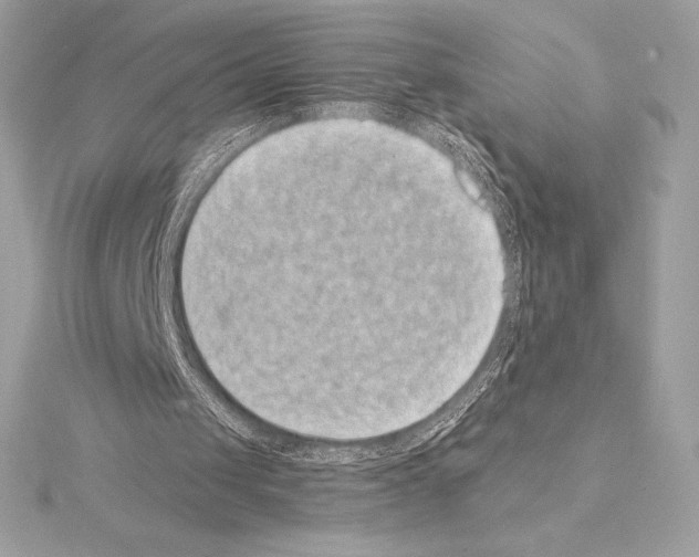 X0000114440049200911271646