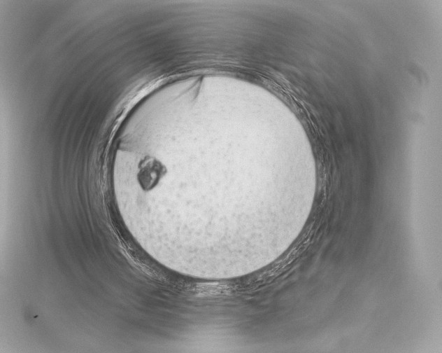 X0000114440050200911271646