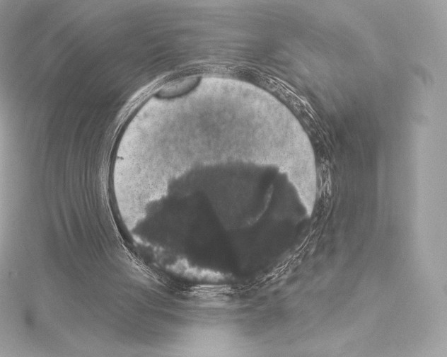 X0000114440051200911271646