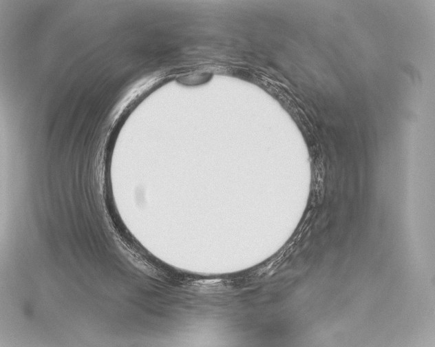 X0000114440054200911271646