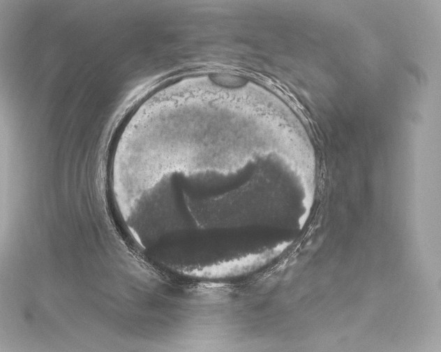 X0000114440055200911271646