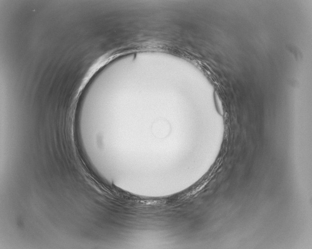 X0000114440056200911271646