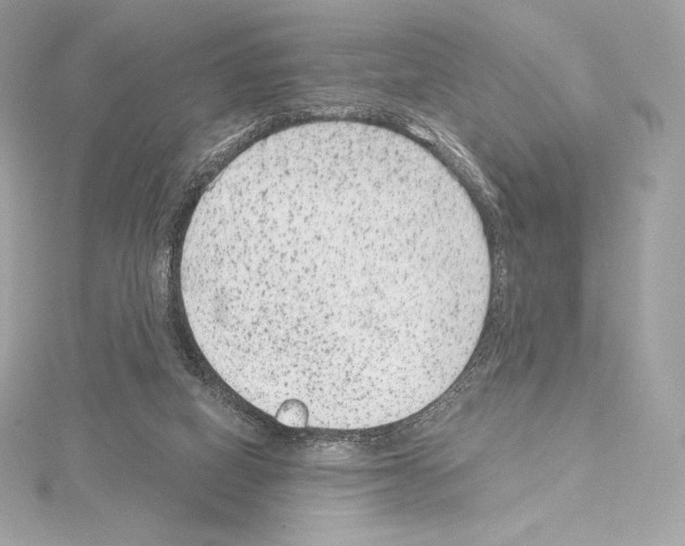 X0000114440066200911271646