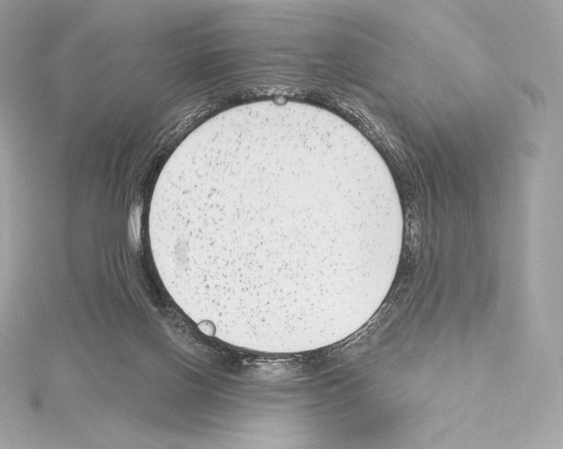 X0000114440070200911271646
