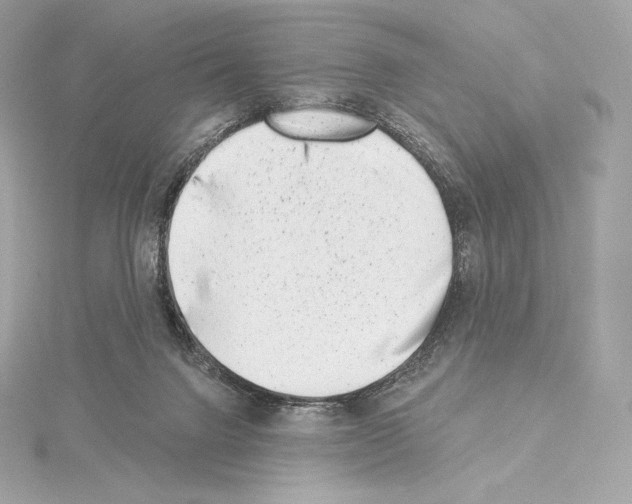 X0000114440072200911271646