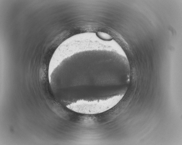 X0000114440073200911271646