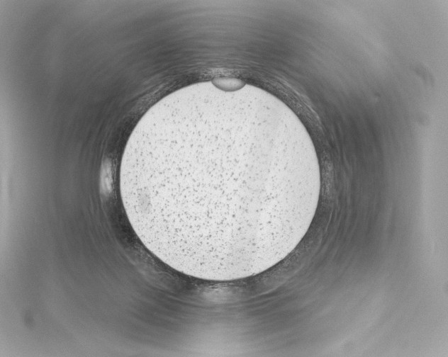 X0000114440075200911271646