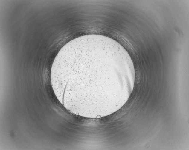 X0000114440077200911271646