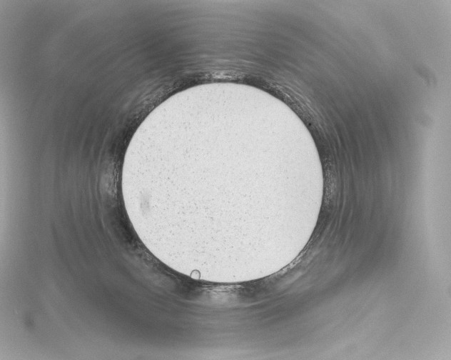 X0000114440078200911271646