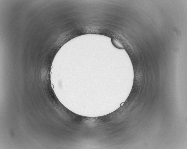 X0000114440079200911271647