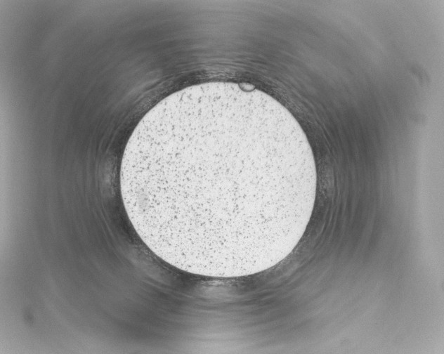 X0000114440082200911271647