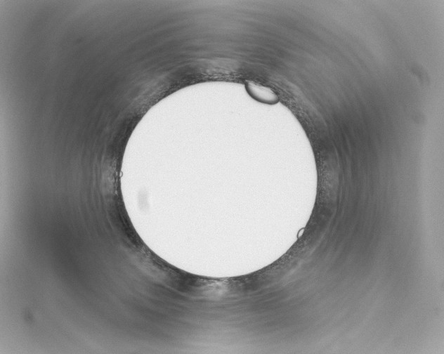 X0000114440083200911271647