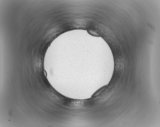X0000114440084200911271647