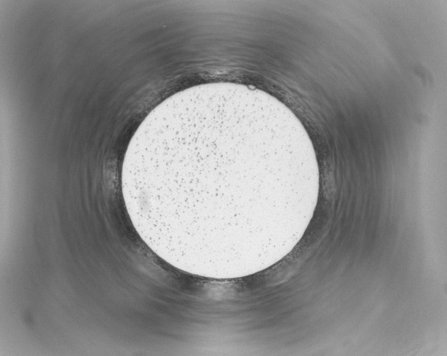 X0000114440085200911271647