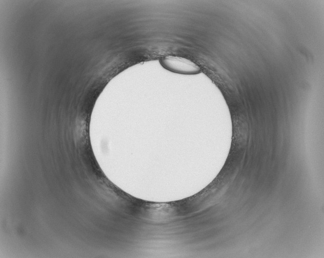X0000114440087200911271647