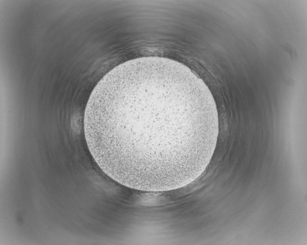 X0000114440090200911271647