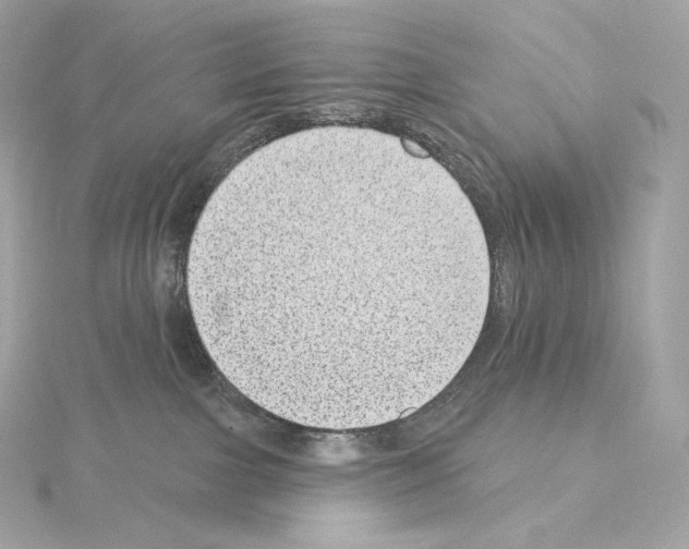 X0000114440091200911271647