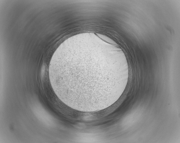X0000114440095200911271647