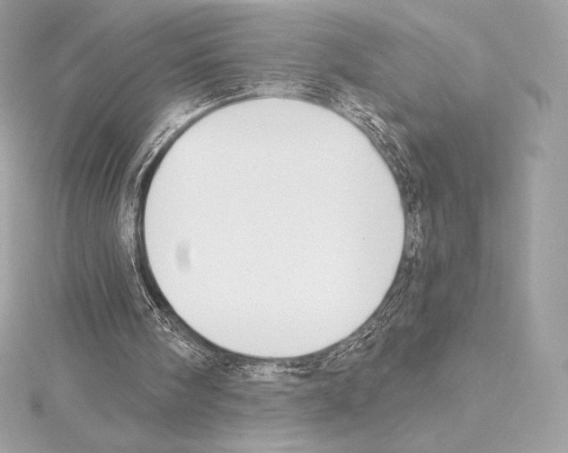 X0000114440098200911271646