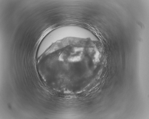 X0000114440099200911271646