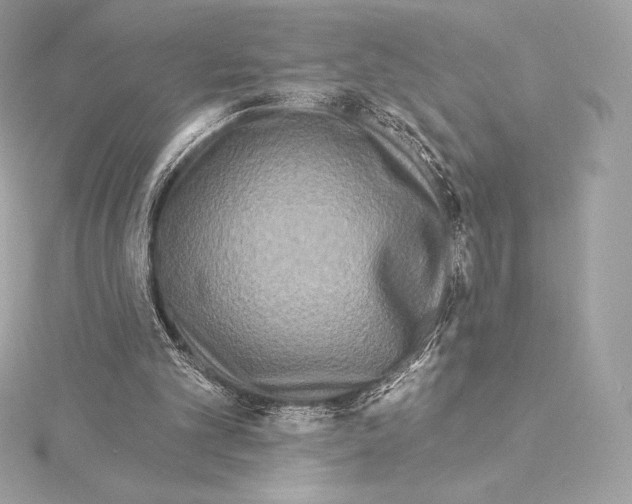 X0000114440101200911271646