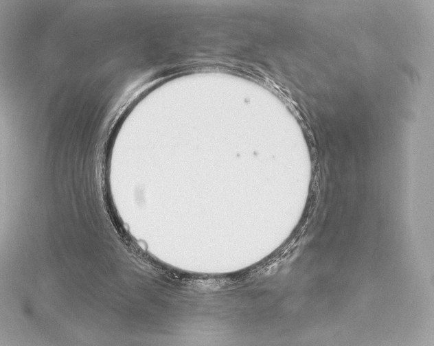 X0000114440103200911271646