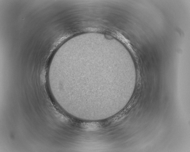X0000114440106200911271646